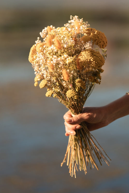 Bouquet jaune et blanc - Ensoleillé